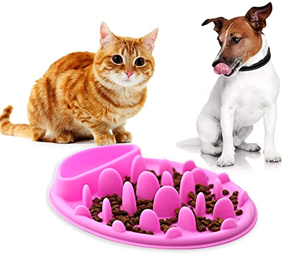 Chống nghẹt thở bằng silicon cho thú cưng Dog Pet Fun Slow Feeder Cat Bowl