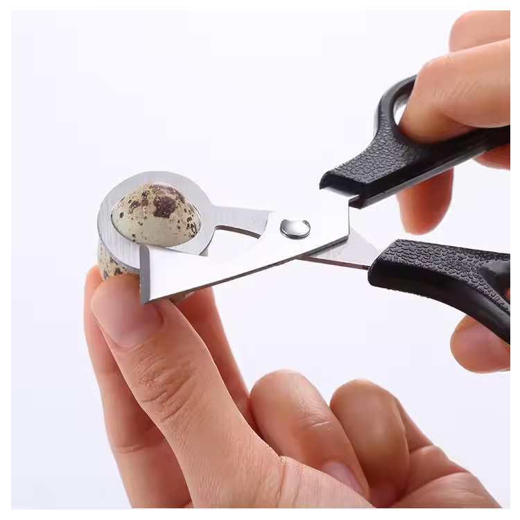 Công cụ nhà bếp giá rẻ Pigeon Quail Bird Egg Clipper Cutter