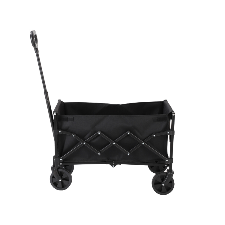 Chuyến tham quan câu cá trên bãi biển bằng xe ngựa gấp Hành lý xách tay