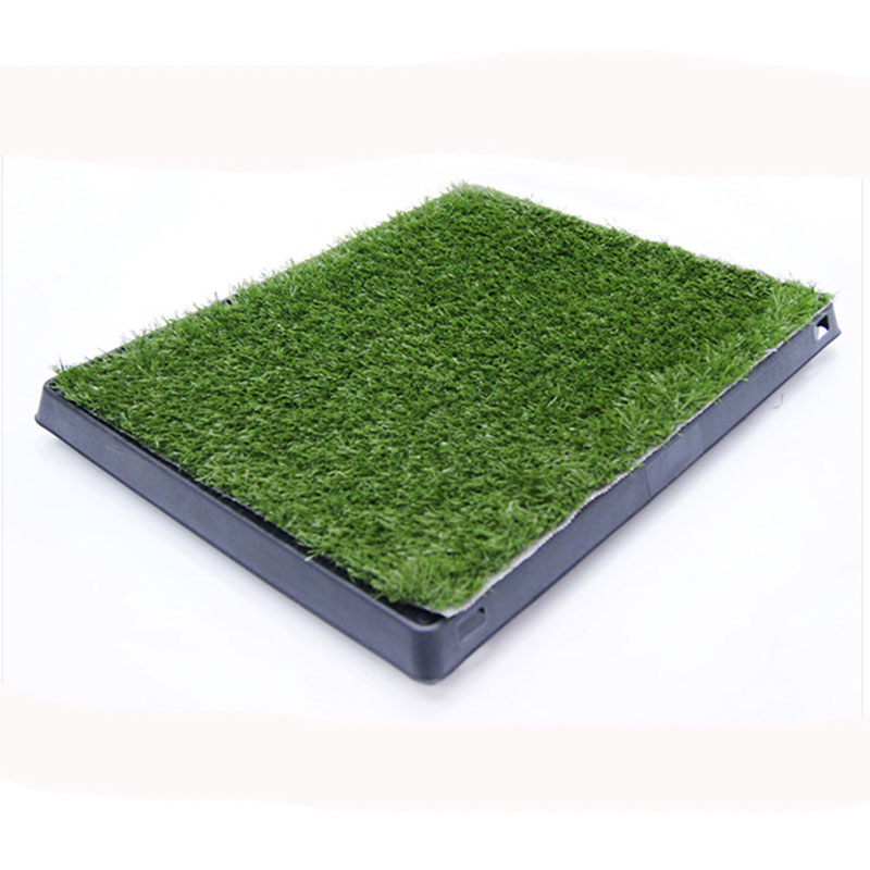 Trong nhà Pet Potty Dog Grass Pad với khay