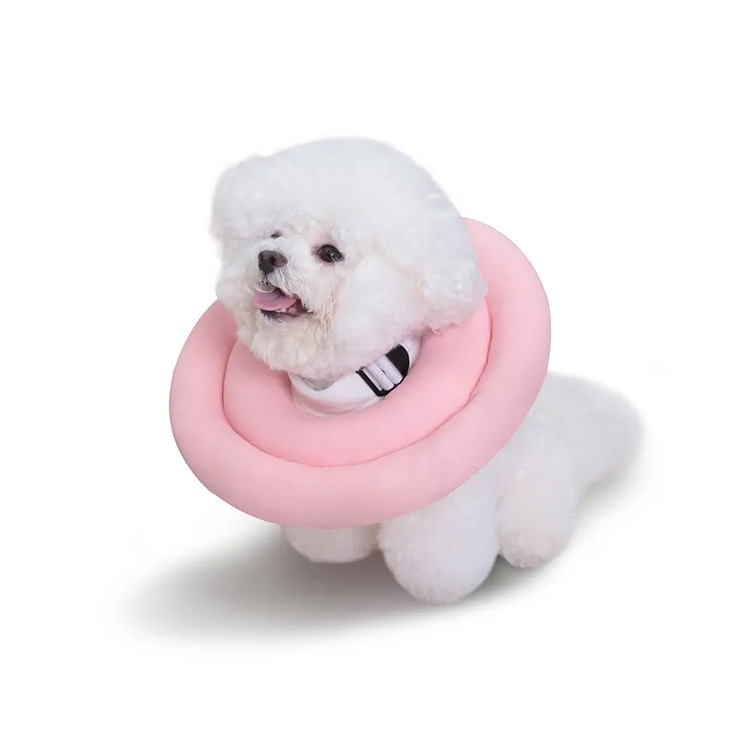 Chó phục hồi Elizabeth Cone cổ áo Elizabethan Cat PET cổ áo