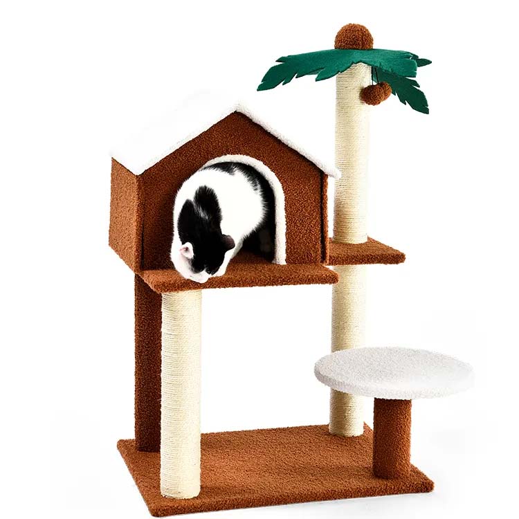 Bài viết trầy xước được phủ salu