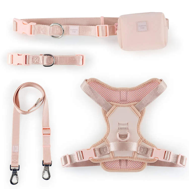 Bộ vest đặt dây nịt PET có thể điều chỉnh với cổ áo và dây xích
